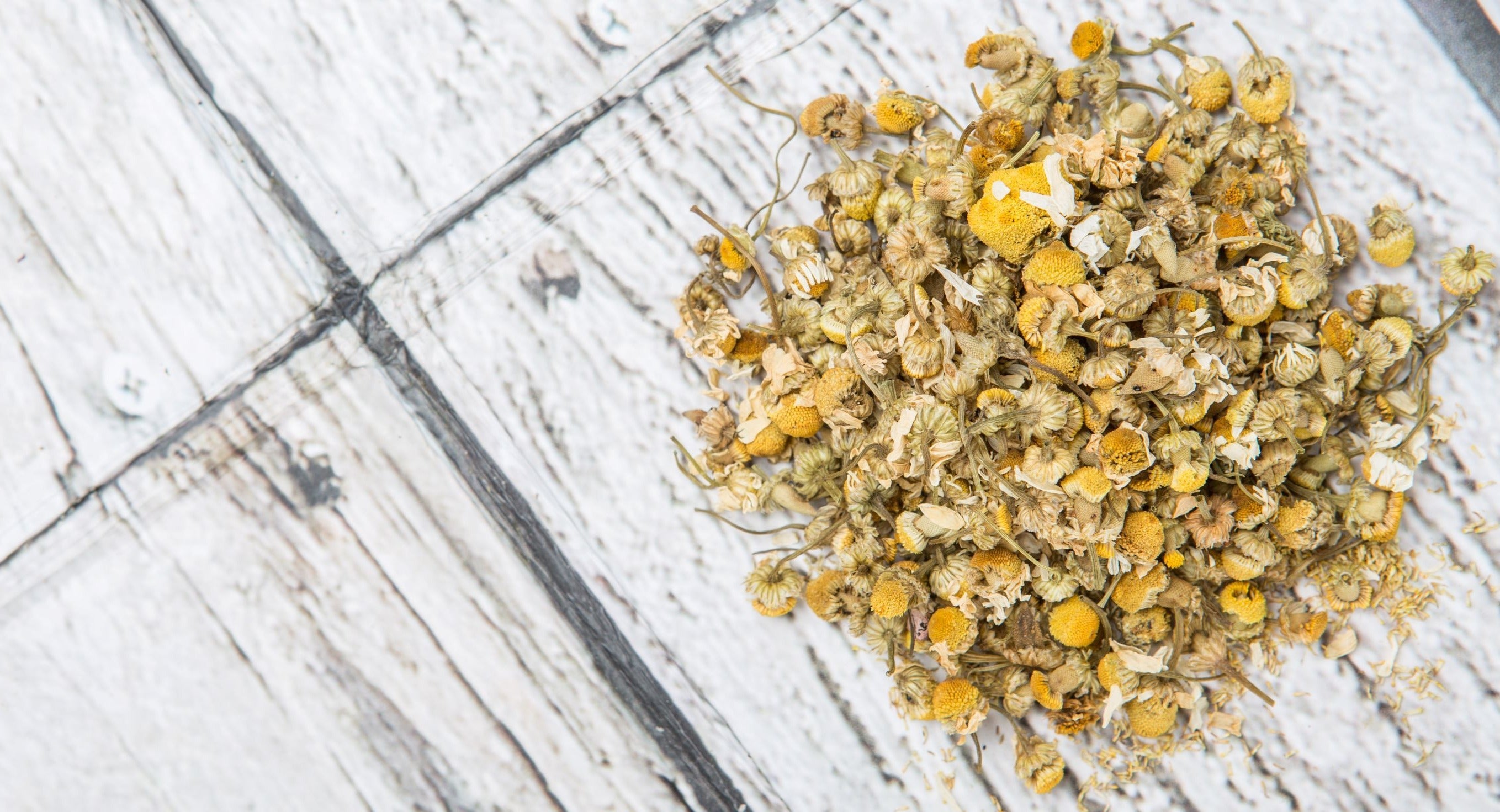 Radiant Chamomile